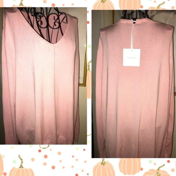 ELLEN TRACY LIGHT PINK V-NECK SWEATER~LONG SLEEVES~HI/LO HEM~X-LARGE - Picture 3 of 4